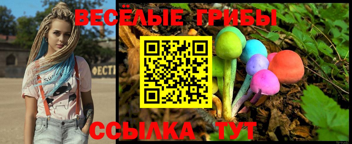 Псилоцибиновые грибы GOLDEN TEACHER  Вход с VPN  как найти закладки  Псилоцибиновые грибы ЛСД  Туапсе 